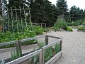 Matthaei Botanical Gardens 2010 0315